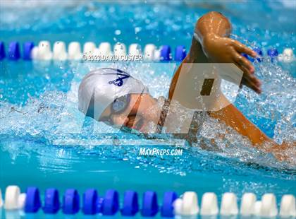 Thumbnail 1 in FCPS Swim and Dive Tri-Meet photogallery.