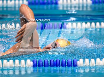 Thumbnail 1 in FCPS Swim and Dive Tri-Meet photogallery.