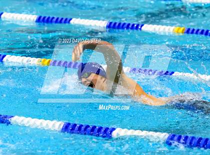 Thumbnail 1 in FCPS Swim and Dive Tri-Meet photogallery.