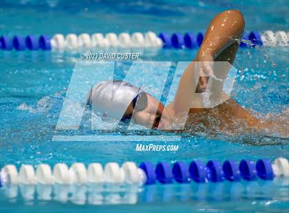 Thumbnail 2 in FCPS Swim and Dive Tri-Meet photogallery.