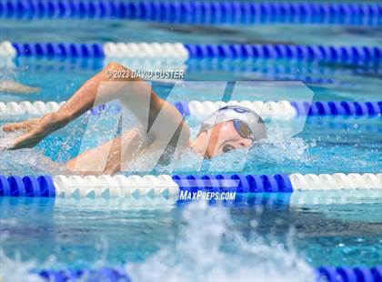 Thumbnail 3 in FCPS Swim and Dive Tri-Meet photogallery.