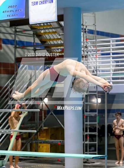 Thumbnail 2 in FCPS Swim and Dive Tri-Meet photogallery.