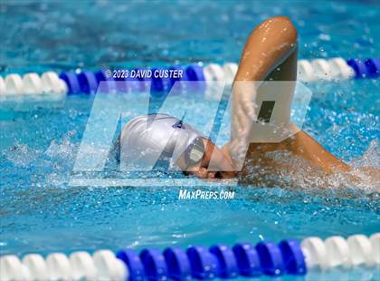 Thumbnail 1 in FCPS Swim and Dive Tri-Meet photogallery.