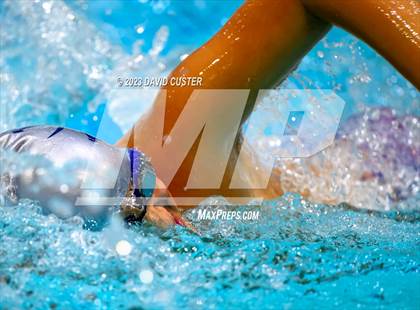 Thumbnail 1 in FCPS Swim and Dive Tri-Meet photogallery.