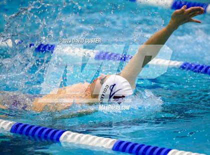 Thumbnail 3 in FCPS Swim and Dive Tri-Meet photogallery.