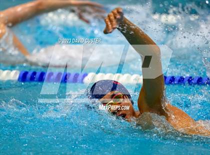 Thumbnail 2 in FCPS Swim and Dive Tri-Meet photogallery.