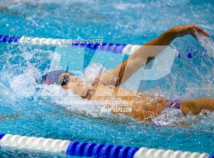 Thumbnail 1 in FCPS Swim and Dive Tri-Meet photogallery.