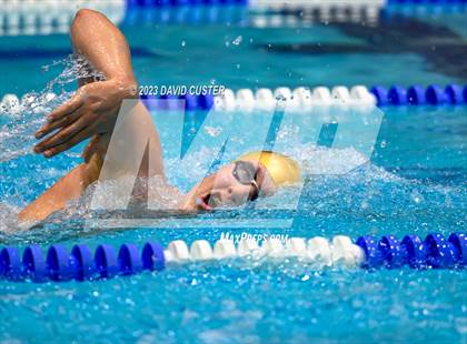 Thumbnail 3 in FCPS Swim and Dive Tri-Meet photogallery.