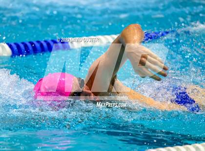 Thumbnail 2 in FCPS Swim and Dive Tri-Meet photogallery.
