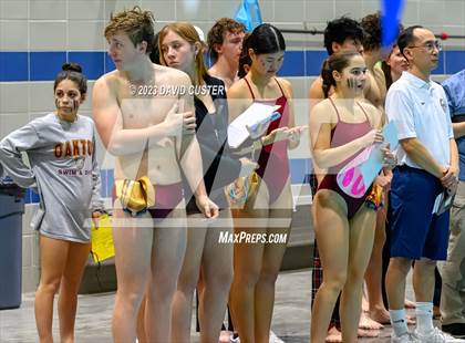 Thumbnail 1 in FCPS Swim and Dive Tri-Meet photogallery.