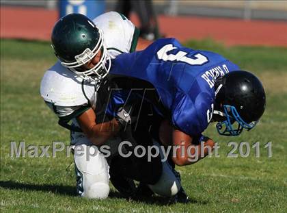 Thumbnail 1 in Bonita @ Diamond Ranch photogallery.