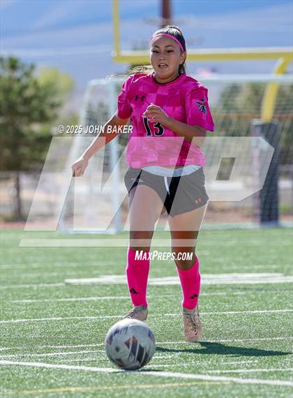 Thumbnail 1 in Lowry @ Fernley photogallery.