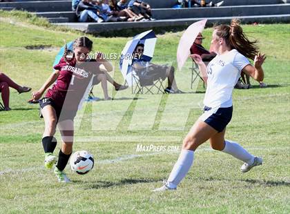 Thumbnail 1 in Centennial vs Faith Lutheran photogallery.