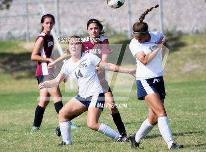 Thumbnail 1 in Centennial vs Faith Lutheran photogallery.
