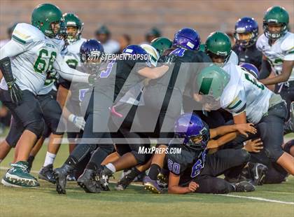 Thumbnail 2 in Monterey Trail @ Tokay photogallery.