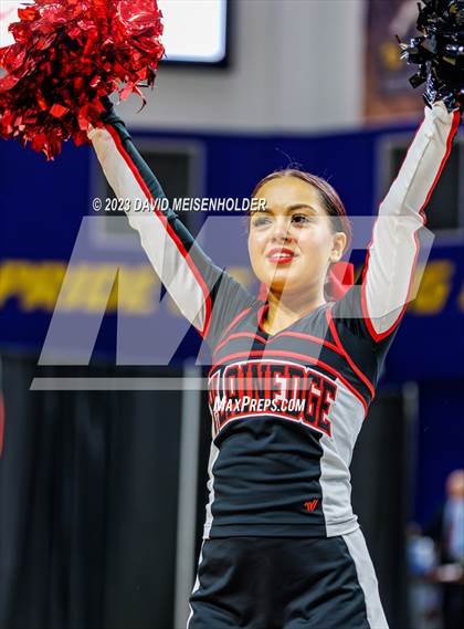 Thumbnail 2 in Nassau County Gameday Cheer Class B Final (Hofstra University) photogallery.