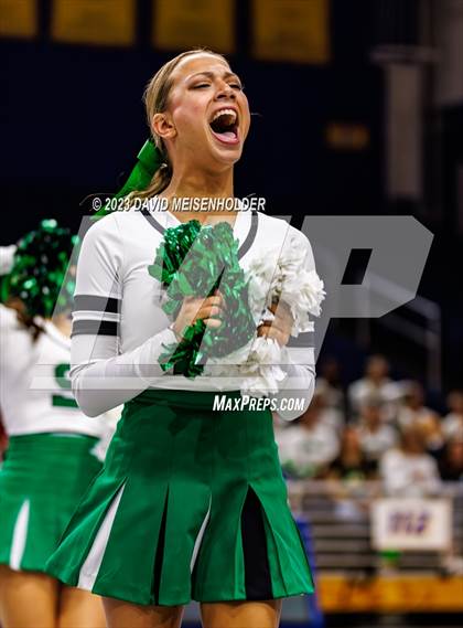 Thumbnail 3 in Nassau County Gameday Cheer Class B Final (Hofstra University) photogallery.