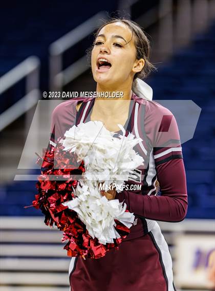 Thumbnail 1 in Nassau County Gameday Cheer Class B Final (Hofstra University) photogallery.