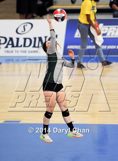 null - Photo 01