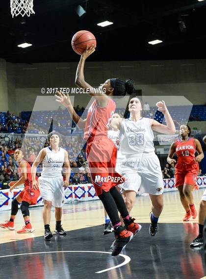 Thumbnail 1 in Sheridan vs. Marion (AAA 6A Final) photogallery.