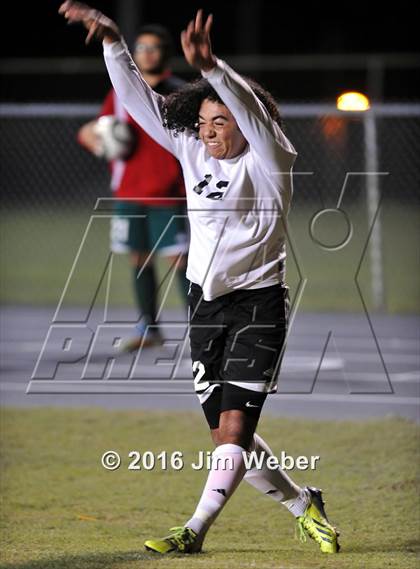 Thumbnail 3 in Wesley Chapel @ Hudson photogallery.