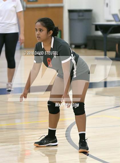 Thumbnail 3 in Antelope @ Inderkum photogallery.