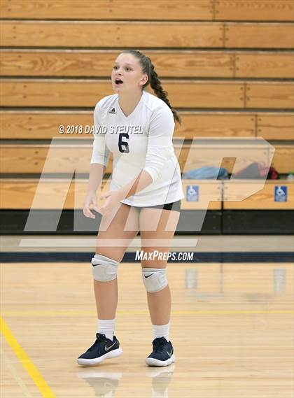 Thumbnail 1 in Antelope @ Inderkum photogallery.