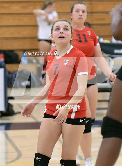 Thumbnail 1 in Antelope @ Inderkum photogallery.