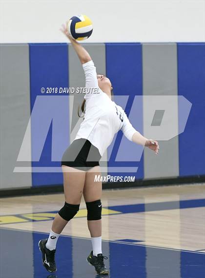 Thumbnail 2 in Antelope @ Inderkum photogallery.