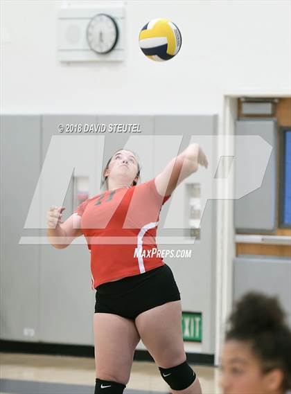 Thumbnail 3 in Antelope @ Inderkum photogallery.