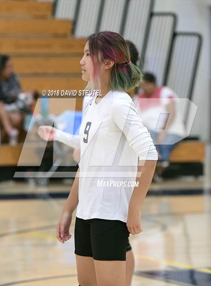 Thumbnail 1 in Antelope @ Inderkum photogallery.