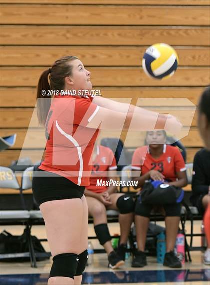 Thumbnail 2 in Antelope @ Inderkum photogallery.