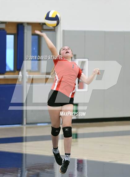 Thumbnail 3 in Antelope @ Inderkum photogallery.