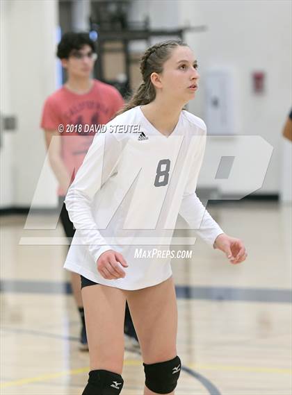 Thumbnail 1 in Antelope @ Inderkum photogallery.