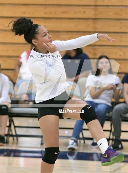 Thumbnail 2 in Antelope @ Inderkum photogallery.