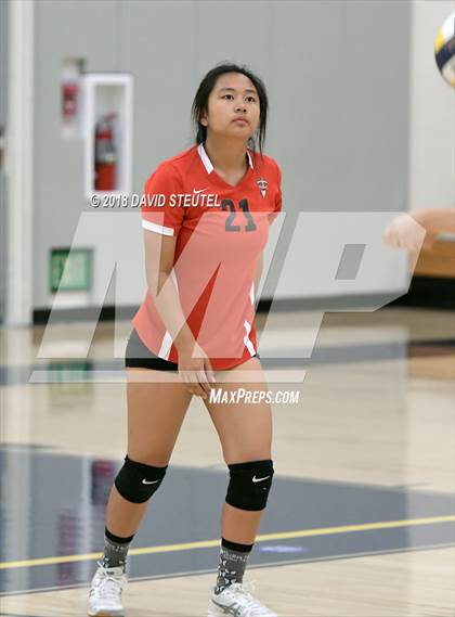 Thumbnail 2 in Antelope @ Inderkum photogallery.