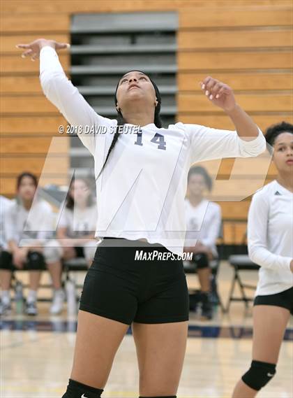 Thumbnail 1 in Antelope @ Inderkum photogallery.