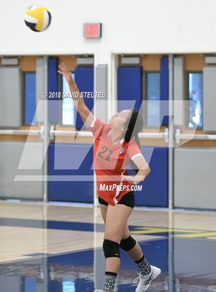 Thumbnail 2 in Antelope @ Inderkum photogallery.