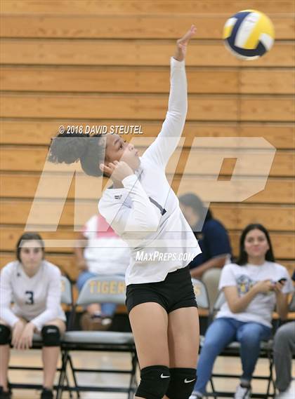 Thumbnail 1 in Antelope @ Inderkum photogallery.