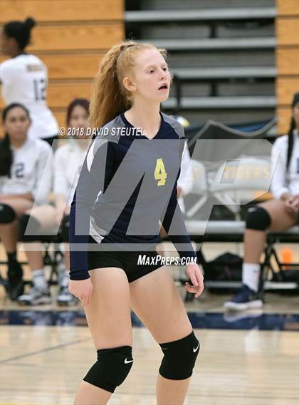 Thumbnail 2 in Antelope @ Inderkum photogallery.