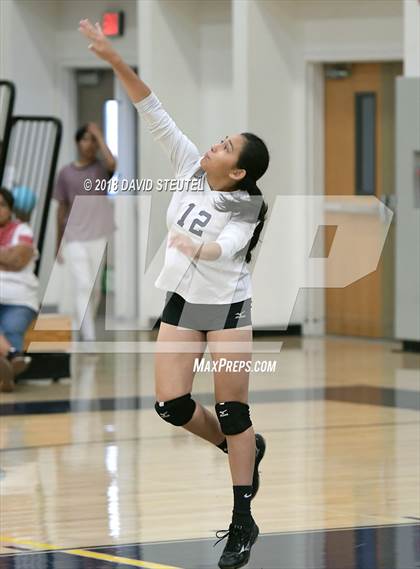 Thumbnail 3 in Antelope @ Inderkum photogallery.