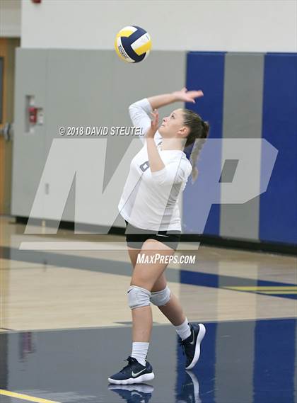 Thumbnail 1 in Antelope @ Inderkum photogallery.