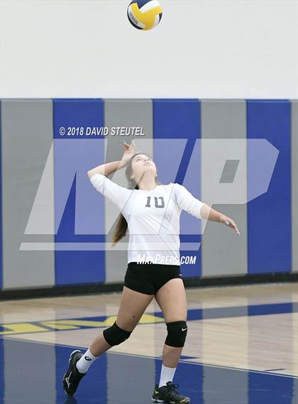 Thumbnail 1 in Antelope @ Inderkum photogallery.