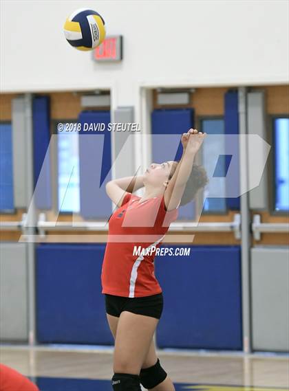 Thumbnail 2 in Antelope @ Inderkum photogallery.