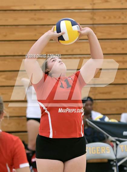 Thumbnail 3 in Antelope @ Inderkum photogallery.