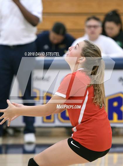 Thumbnail 1 in Antelope @ Inderkum photogallery.