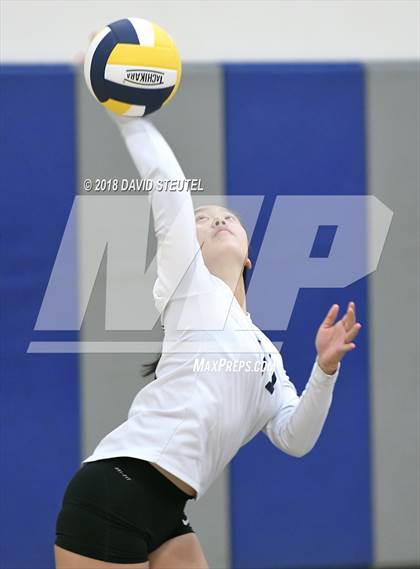 Thumbnail 3 in Antelope @ Inderkum photogallery.