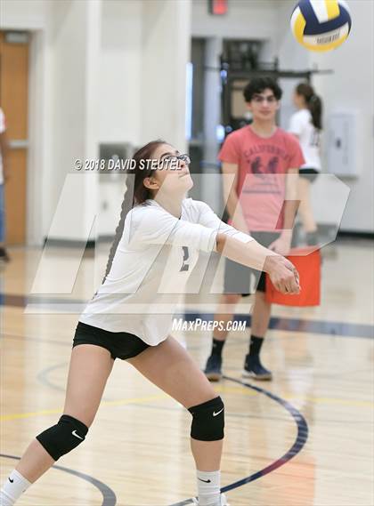 Thumbnail 1 in Antelope @ Inderkum photogallery.