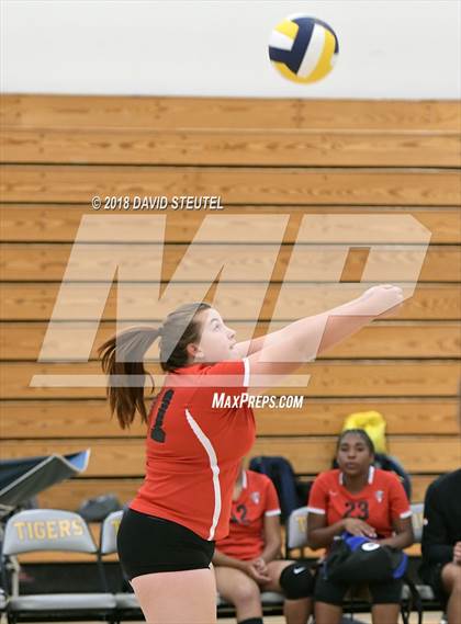 Thumbnail 3 in Antelope @ Inderkum photogallery.