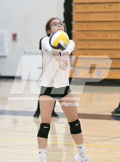 Thumbnail 3 in Antelope @ Inderkum photogallery.